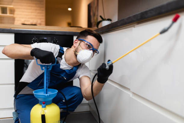 Best Pest Control Treatment  in Hackberry, TX