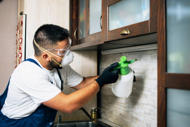 Best Pest Prevention Services  in Hackberry, TX