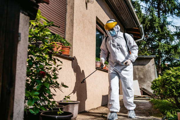Best Rat Extermination Near Me  in Hackberry, TX
