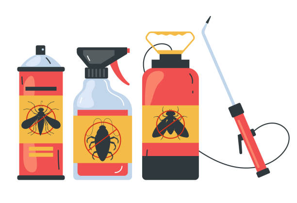 Pest Prevention Services in Hackberry, TX