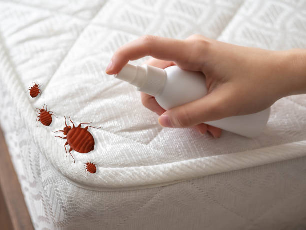 Best Best Pest Control Companies  in Hackberry, TX
