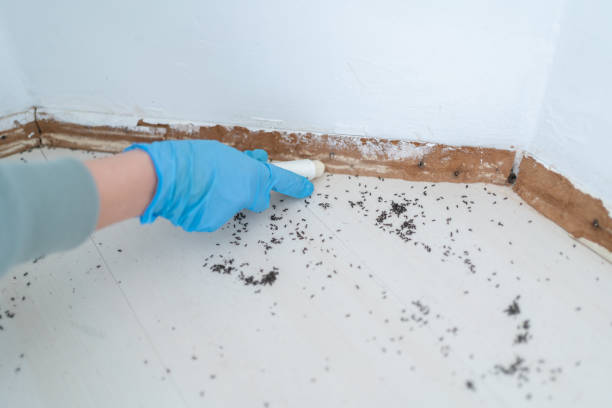 Hackberry, TX Pest Control Company