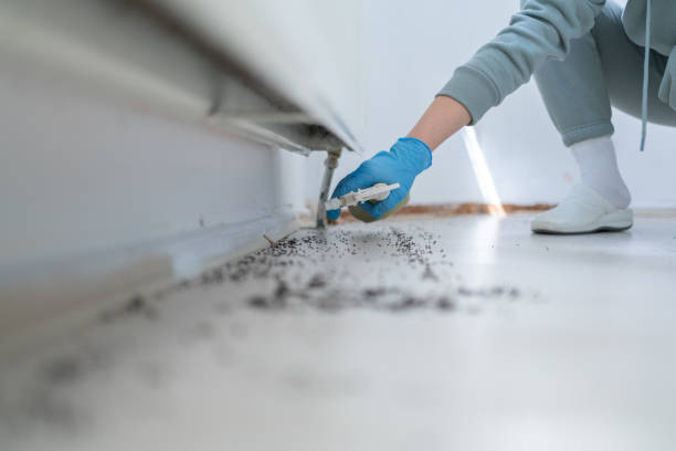 Best Wildlife Control Services  in Hackberry, TX
