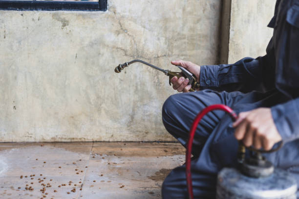Best Exterminator Services  in Hackberry, TX